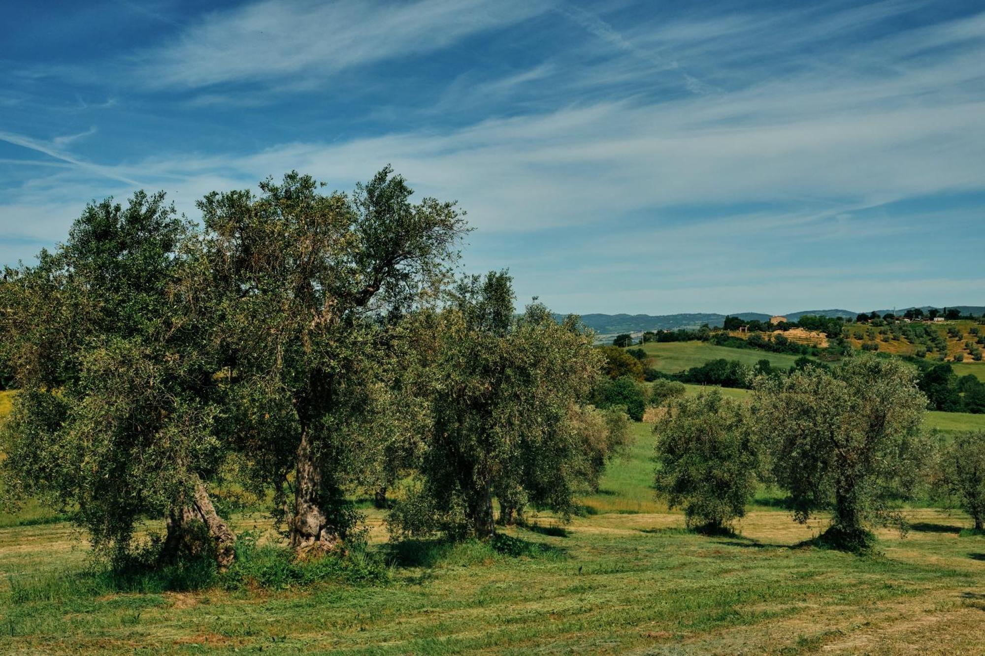 8380 Agriturismo Il Saragiolo Manciano Esterno foto