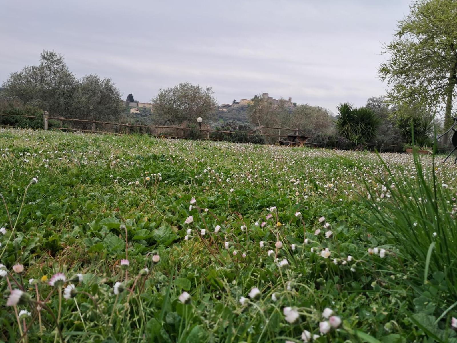 8380 Agriturismo Il Saragiolo Manciano Esterno foto